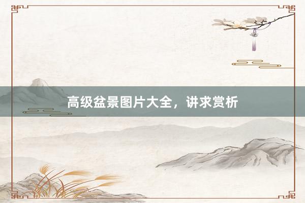 高级盆景图片大全，讲求赏析