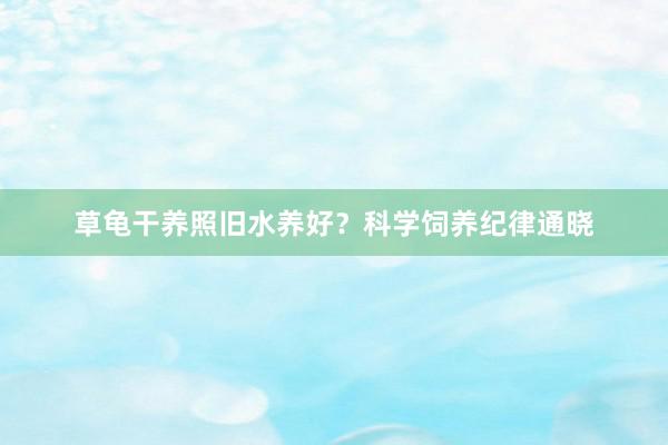 草龟干养照旧水养好？科学饲养纪律通晓