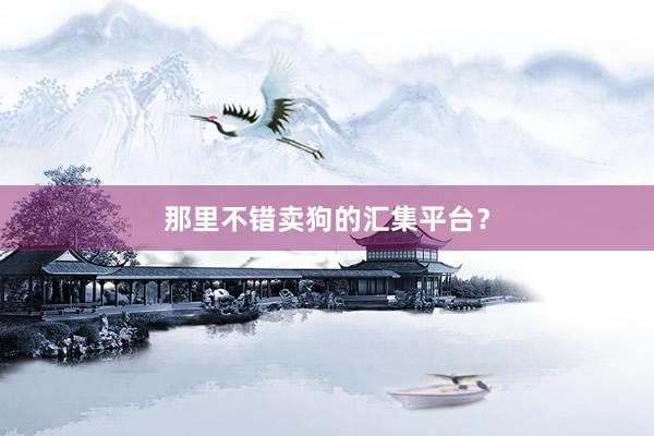 那里不错卖狗的汇集平台？